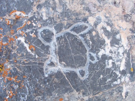 A sea turtle carved into Story Rock in the vicinity of the Iosepa ghost town site (photo by Clint Thomsen)