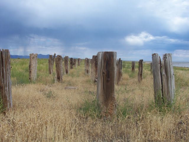 Wooden pilings line the old trestle that leads to the site (photo by Clint Thomsen)
